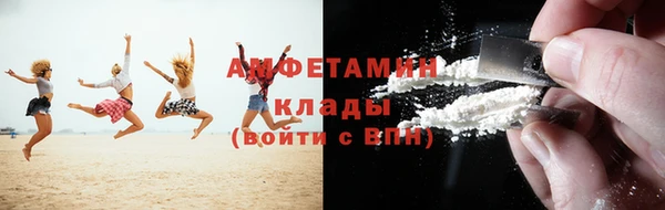 хмурый Алексин