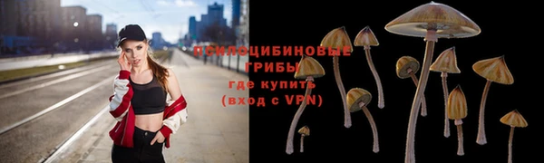 ECSTASY Алексеевка