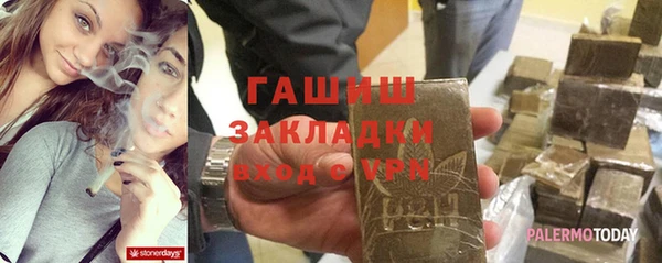 хмурый Алексин