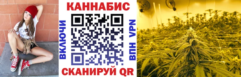 закладка  Сосенский  Бошки Шишки Amnesia 